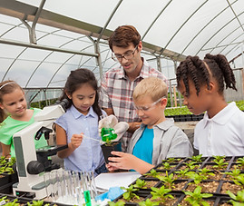 Greenhouse Experimentation Learning