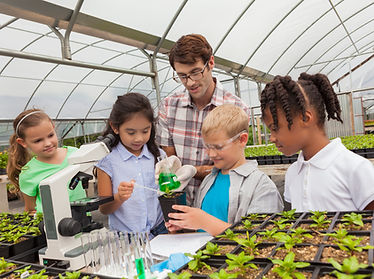 Pupils in Greenhouse