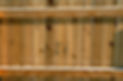 Wooden fence fills background.