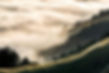 Colline de montagne brumeuse au lever du soleil