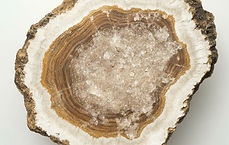 Geode Crystal Cross-section