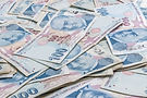 One Hundred Turkish Lira