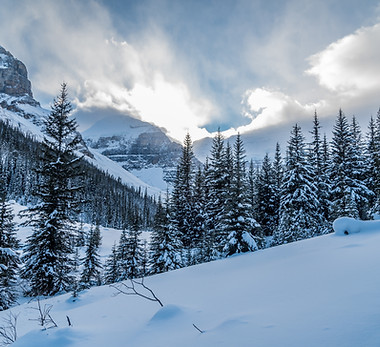 Snow