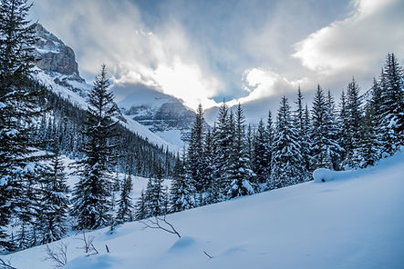 Snow