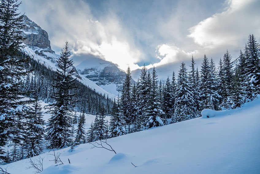 Snow