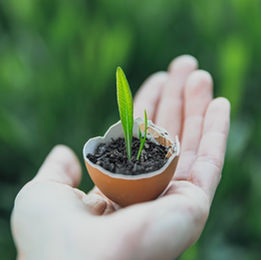 Things We All Should and Can Do To Make A Positive Impact On Our Lives and Around Us