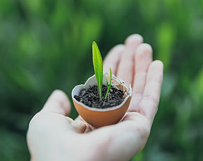 Entwicklung und Wachstum in Lambach