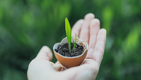 The inconveniences of going green
