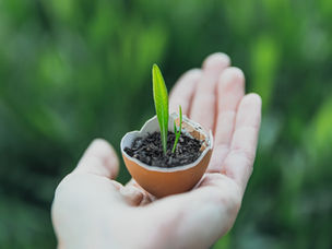 a values-based investor holds a small plant in their hand, symbolic of the climate impact funds they invest in thanks to their socially responsible portfolio designed with their fiduciary advisor sage financial sd