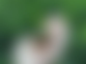 Økodag på tagterrassen