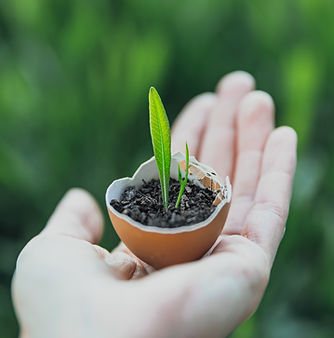 Vitalité, bien-être entreprise, énergie, alimentation, nature, santé