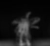 Spinning Dancer in Motion
