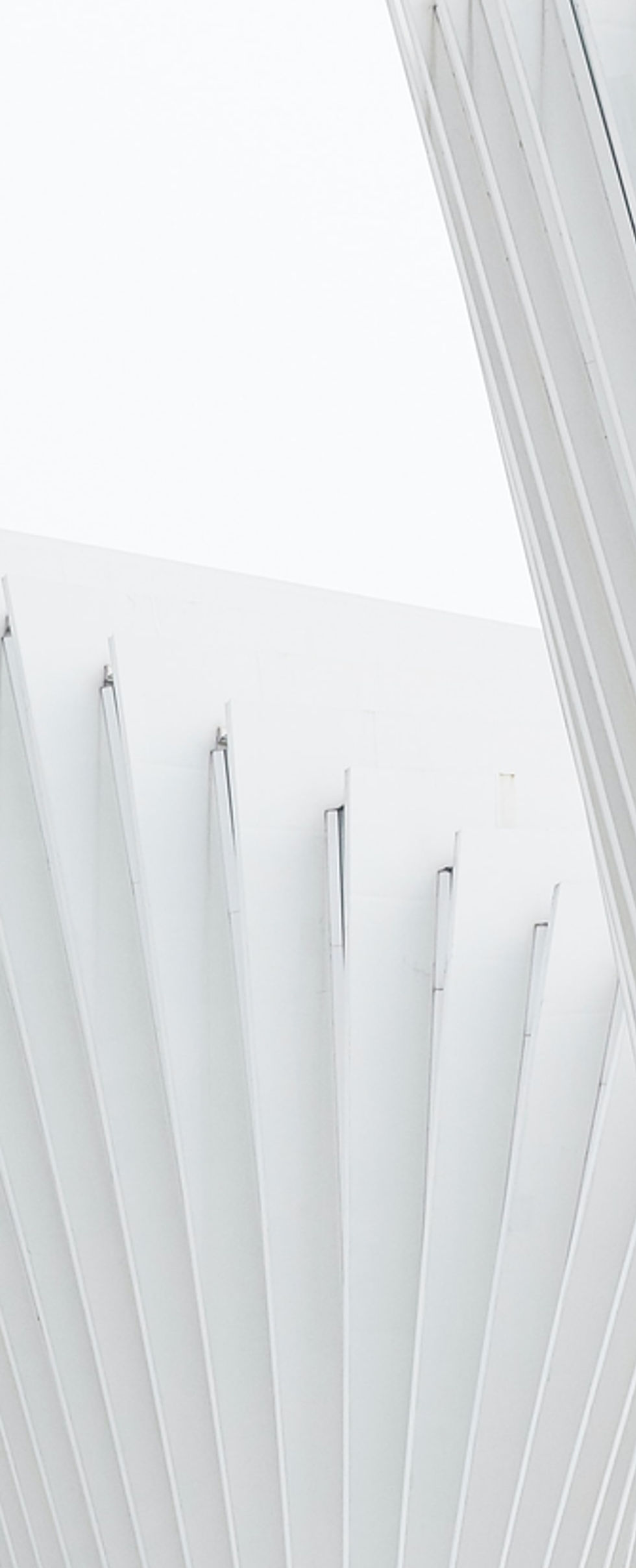 White Structure