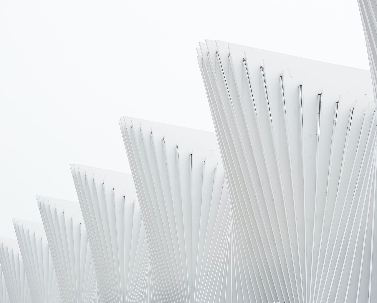 White Structure