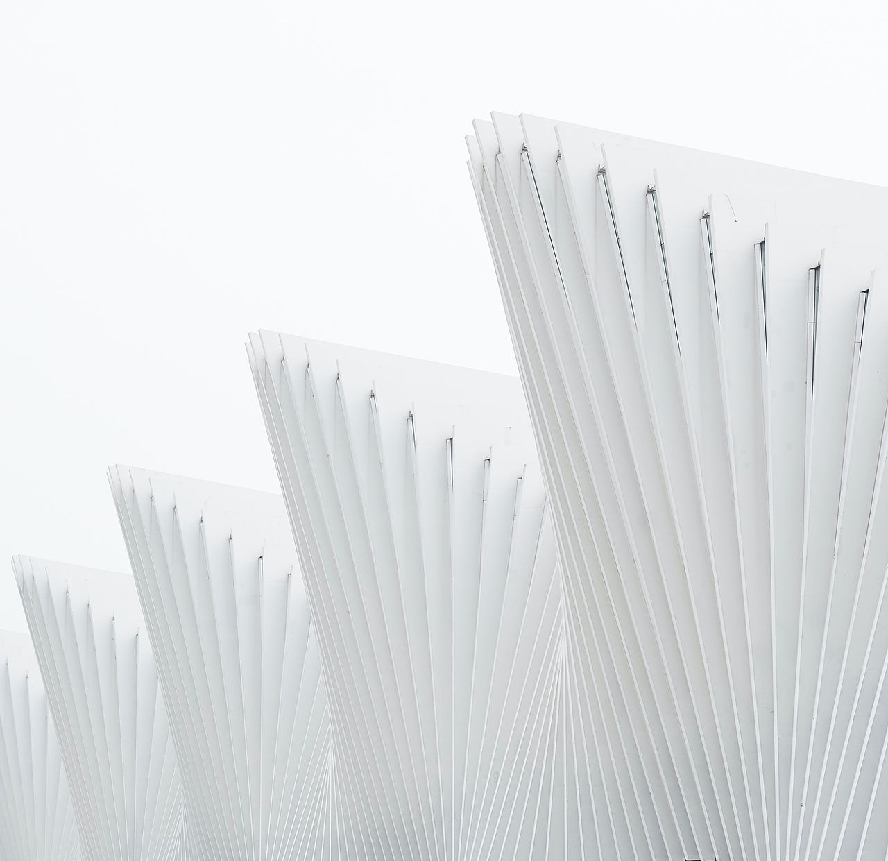 White Structure
