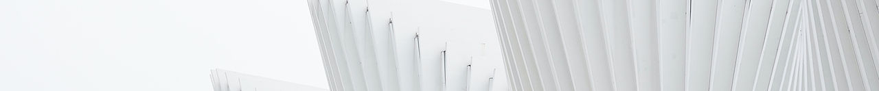 White Structure