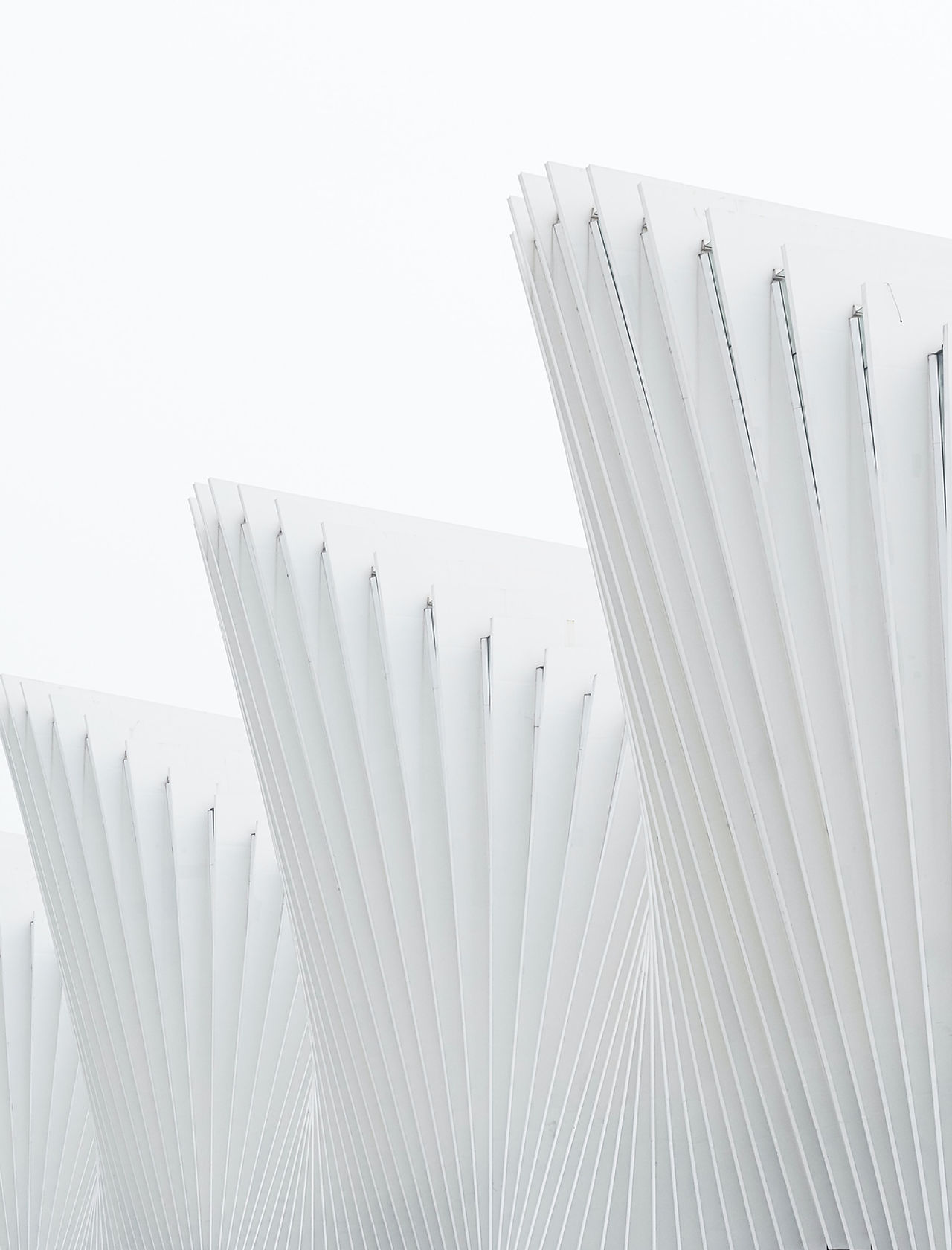 White Structure