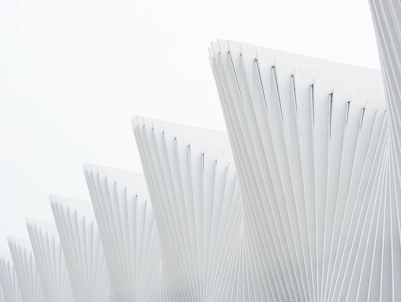 White Structure