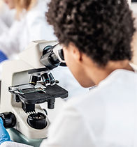 Scientist Using Microscope
