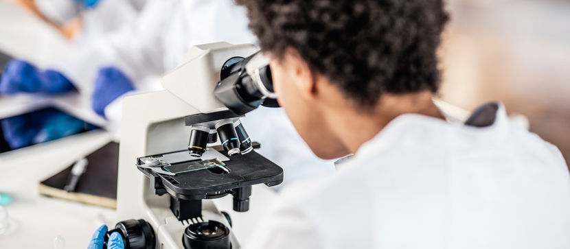 Moral Negligence: How Animal Experimentation Runs Rampant