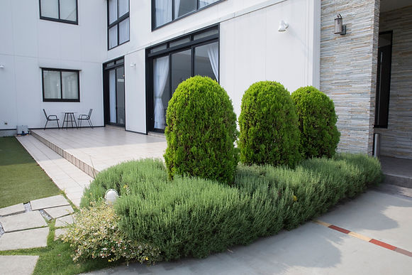 コキアの植えられた外構