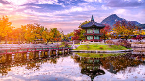 L'Automne en Energétique Chinoise