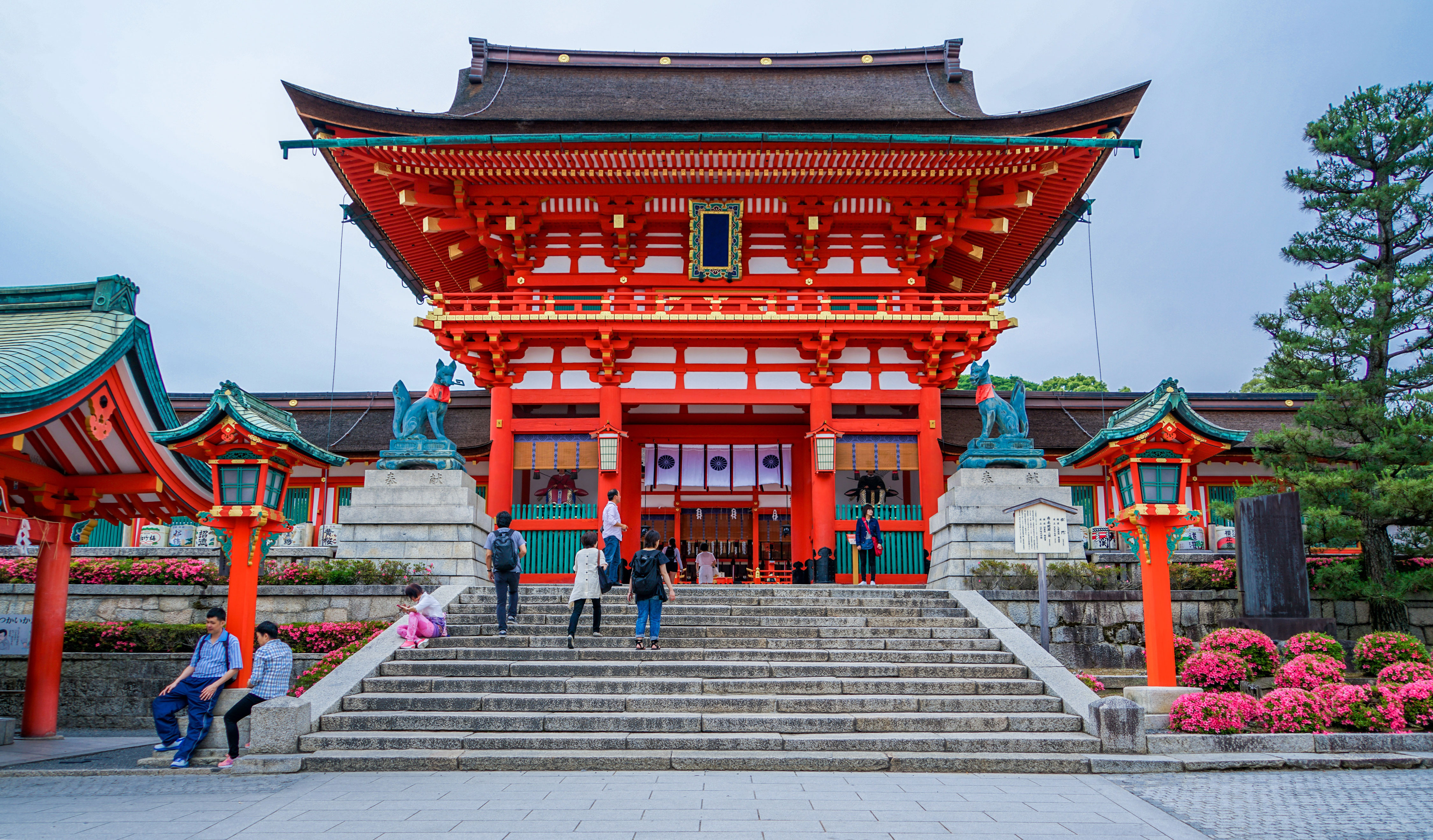 How Much Does a Japan Private Tour Guide Cost? A Complete Breakdown