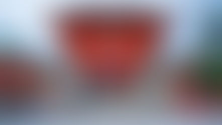 O Ano Novo no Japão: Costumes e Tradições