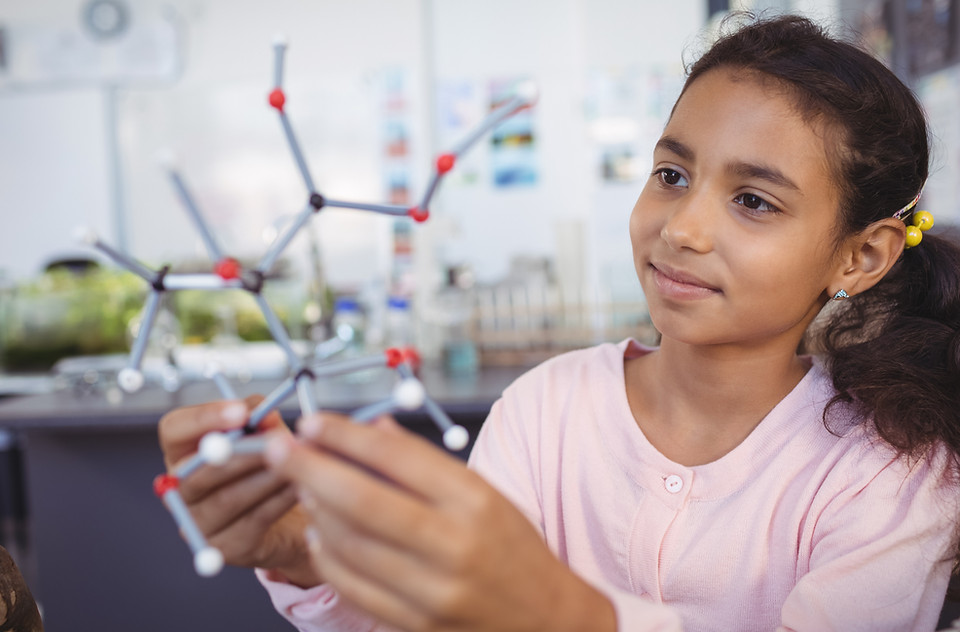 Examinando o Modelo Molecule