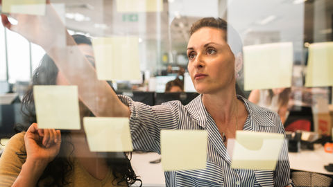 Opleiden met impact: samen leren = samen sterker