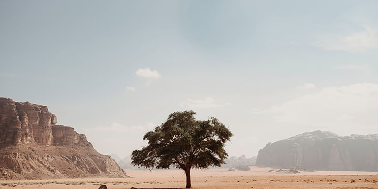 COP31 Invites Researchers and Practitioners to Submit Climate Evidence