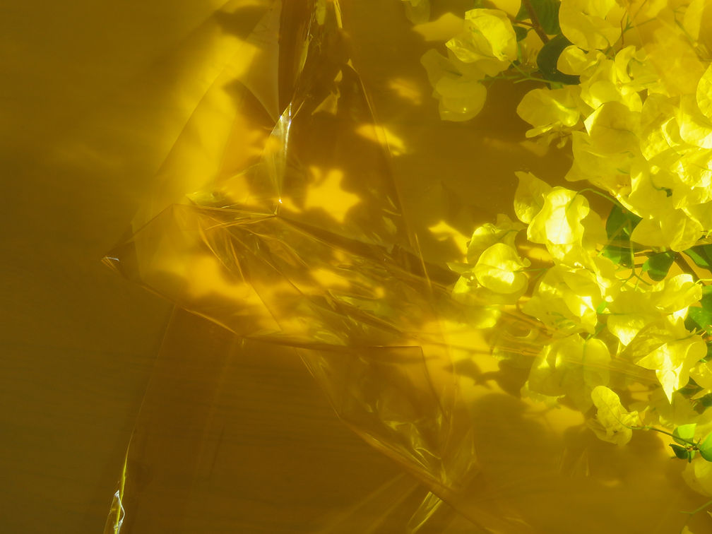Yellow Theme Background
