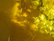 Gelbes Thema Hintergrund