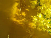 Fondo de tema amarillo