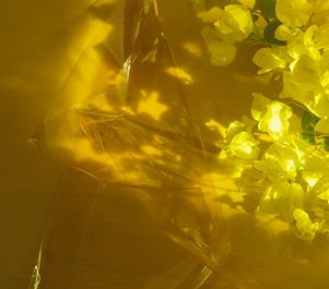 Yellow Theme Background