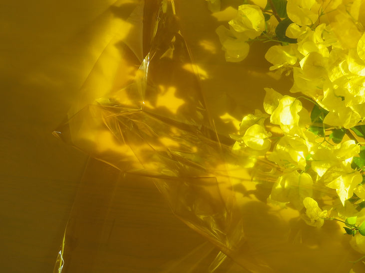 Gul blomsterabstrakt