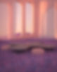 Purple Garden