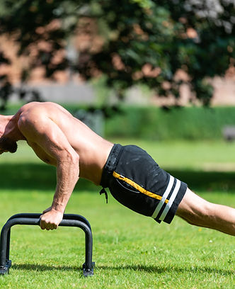 Push-Up Bars