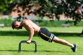 Push-Up Bars