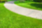 Stone path and green grass