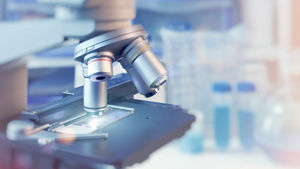 炎症の「記憶」が、がんリスクを高める