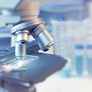 Exploring the Latest Research on Nitrogen Dioxide and Asthma