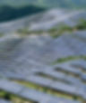Solar Panels on a solar farm