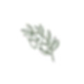 Flower Branch