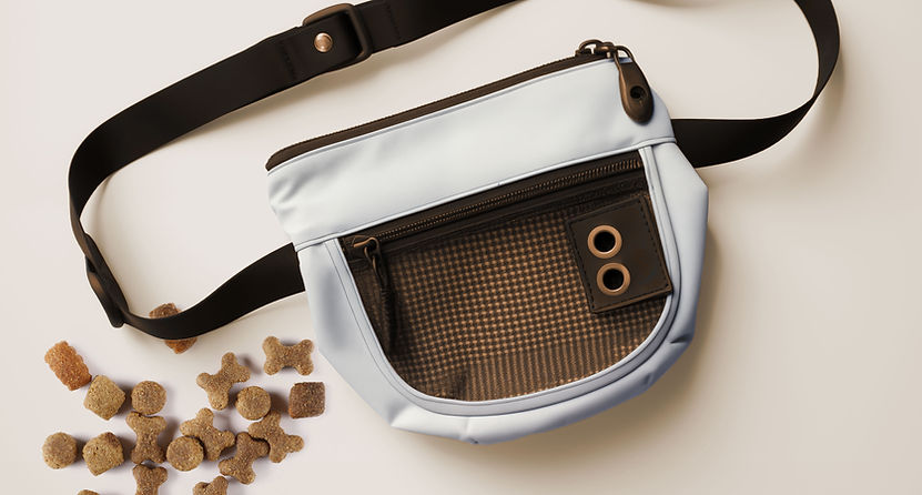 Treat Pouch