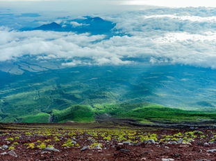 Find Your Dream N.A. Plot in Maharashtra.