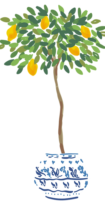 Illustration citronnier