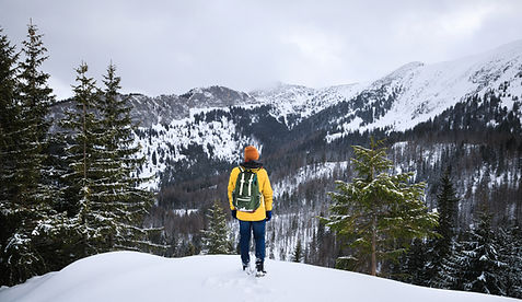 Hiker In Snow