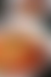 #Séries Pratic 38: Novas regras para venda de carne moída