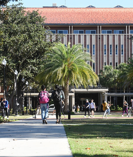 University Building